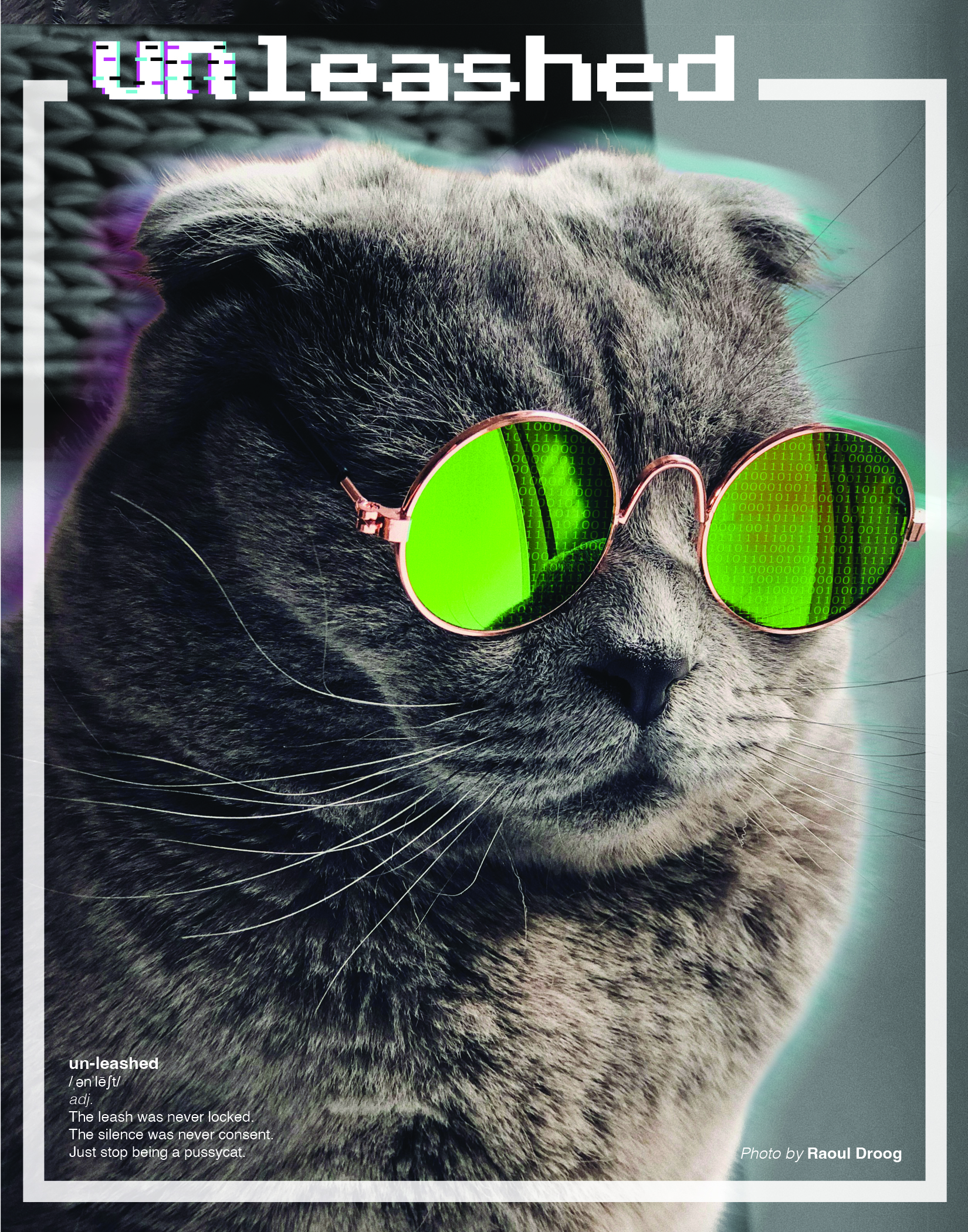 unleashed poster unleashed poster