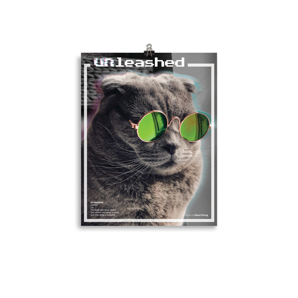 unleashed poster unleashed poster